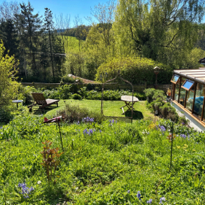The Garden Jungle